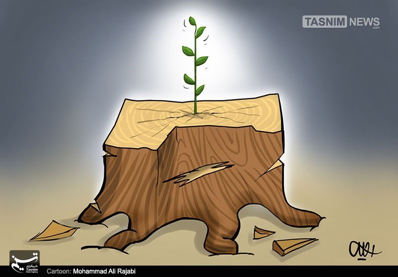 کاریکاتور,دانلود کاریکاتور,عکس کاریکاتور,غزه,رویش,فلسطین,درخت,هیزم