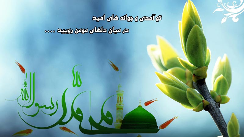 ashura,day of ashura,arbaeen,muharram,shia,shia islam,photo,download,photograph,شیعه