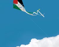 دانلود پوستر,عکس پوستر,پوستر,مرگ,فاجعه,تراژدی,غزه,فلسطین,جنایت,اسرائیل,بشر,فاجعه انسانی,خون,باریکه غزه