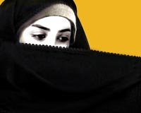 کاریکاتور,عکس کاریکاتور,دانلود کاریکاتور,حجاب,پوشش,زن,هدیه,آسمانی,خانواده,هدیه آسمانی,امنیت