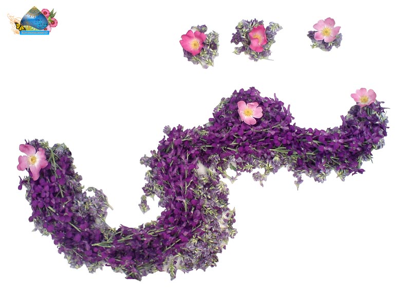 هادی,نقی,تقی,جواد,علی نقی,امام هادی,امام جواد,دانلود پوستر,عکس پوستر,تصویر با کیفیت,naghi,taghi,imam hadi,imam javad,imam naghi,hadi