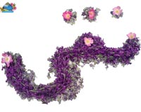 هادی,نقی,تقی,جواد,علی نقی,امام هادی,امام جواد,دانلود پوستر,عکس پوستر,تصویر با کیفیت,naghi,taghi,imam hadi,imam javad,imam naghi,hadi width=