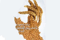 دانلود پوستر,عکس پوستر,پوستر,ایران جوان,فرزند بیشتر,فرزند کمتر,زندگی بهتر,عکس با کیفیت,جمعیت,فرزند,بچه,خانواده,پسر,پدر,مادر,والدین,مجموعه نمایشگاهی,دختر