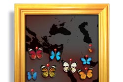 دانلود پوستر,عکس پوستر,پوستر,انتظار,منتظر,فرج,امام,امام زمان,نیمه شعبان,منتظران واقعی,غیبت,منتظران,ظهور