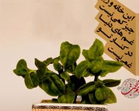 دانلود پوستر,عکس پوستر,ازدواج,زن,مرد,خانواده,همسر,فرزند,شوهر,زندگی