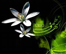 mobahele,مباهله,روز مباهله,ذی الحجه,24 ذی الحجه,آیه مباهله,تفسیر آیه مباهله,ماجرا مباهله,ویژه نامه,ویژه نامه مباهله